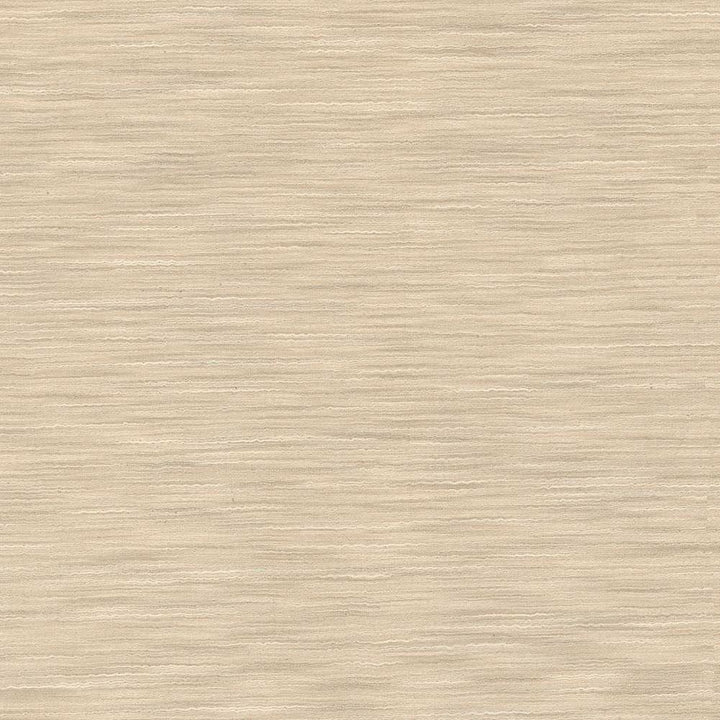 Gainsford Sandstone by Kasmir Fabric 5060 75% Polyester
25% Viscose
 INDIA Not Tested Horizontal: N/A and Vertical: N/A 54 - Fabric Carolina -