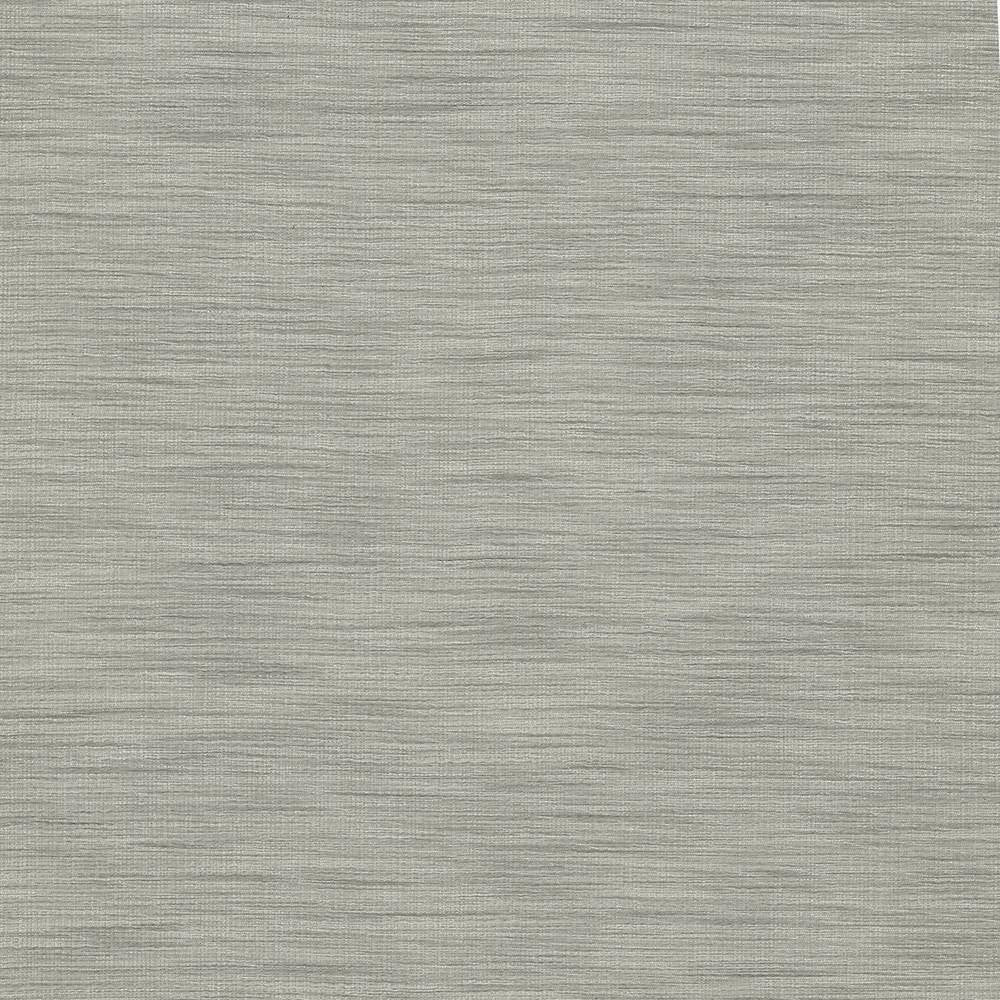 Gainsford Silver by Kasmir Fabric 5060 75% Polyester 25% Viscose INDIA Not Tested H: N/A, V:N/A 54 - Fabric Carolina - Kasmir