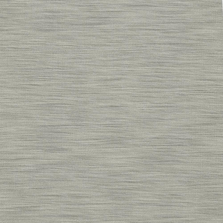 Gainsford Silver by Kasmir Fabric 5060 75% Polyester 25% Viscose INDIA Not Tested H: N/A, V:N/A 54 - Fabric Carolina - Kasmir