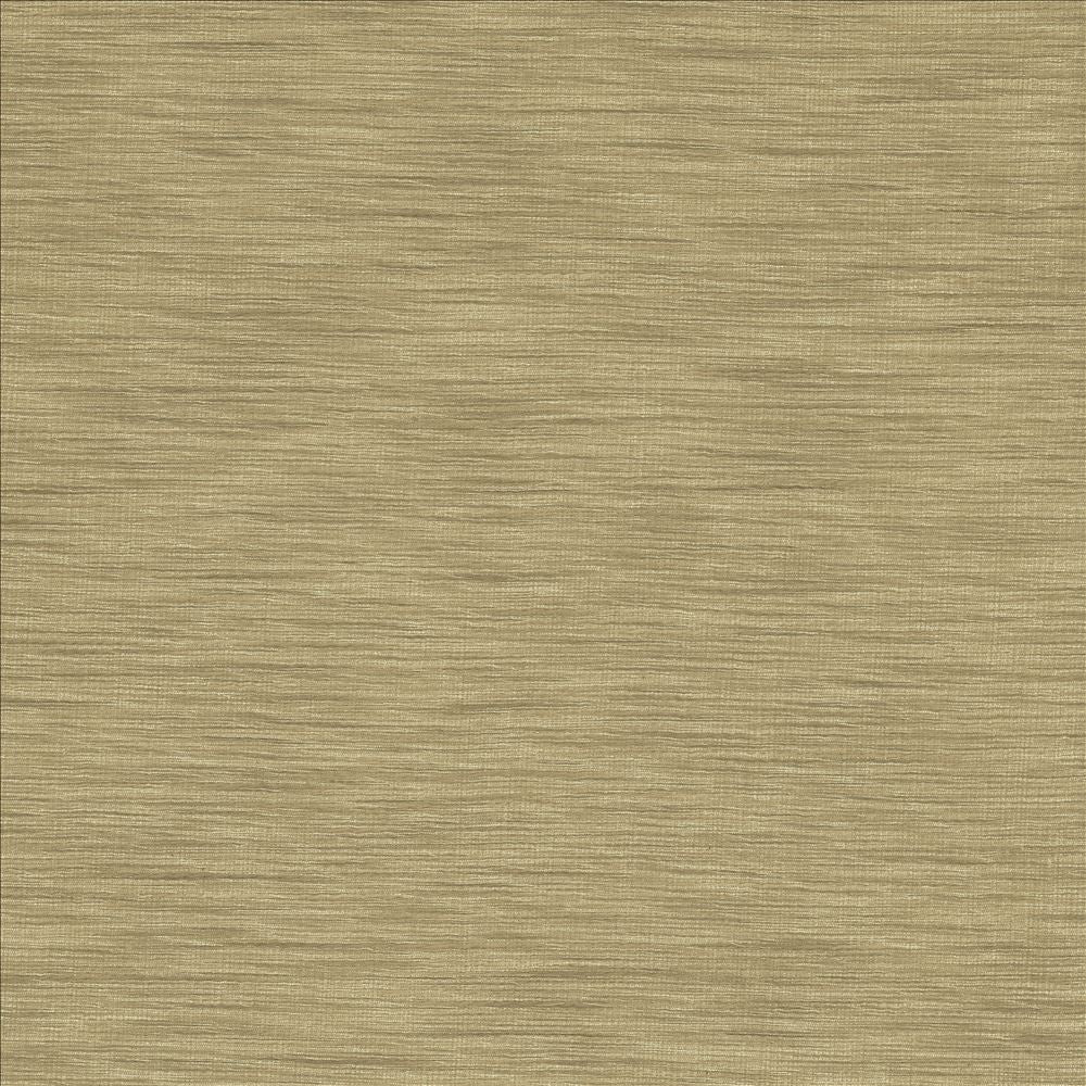Gainsford Silver by Kasmir Fabric 5060 75% Polyester
25% Viscose
 INDIA </p><p>Repeat: Horizontal: N/A and Vertical: N/A 54 - Fabric Carolina -