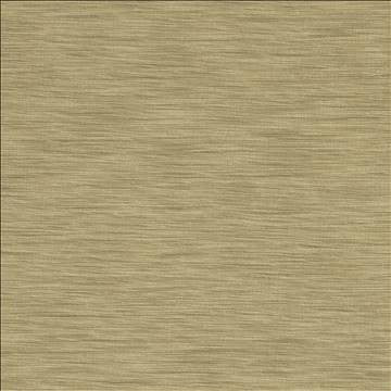 Gainsford Silver by Kasmir Fabric 5140 75% Polyester 25% Viscose INDIA Not Tested H: N/A, V: N/A 54 - Fabric Carolina - Kasmir