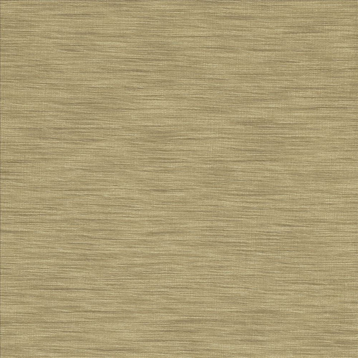 Gainsford Silver by Kasmir Fabric 5140 75% Polyester
25% Viscose
 INDIA </p><p>Repeat: Horizontal: N/A and Vertical: N/A 54 - Fabric Carolina -
