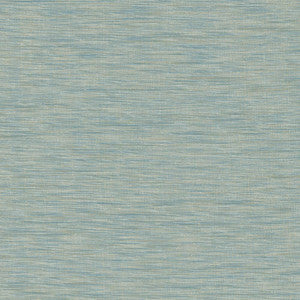 Gainsford Sky by Kasmir Fabric