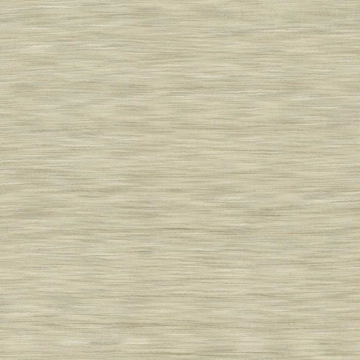 Gainsford Stone by Kasmir Fabric 5140 75% Polyester
25% Viscose
 INDIA </p><p>Repeat: Horizontal: N/A and Vertical: N/A 54 - Fabric Carolina -
