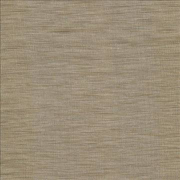 Gainsford Tea by Kasmir Fabric 5060 75% Polyester 25% Viscose INDIA Not Tested H: N/A, V: N/A 54 - Fabric Carolina - Kasmir