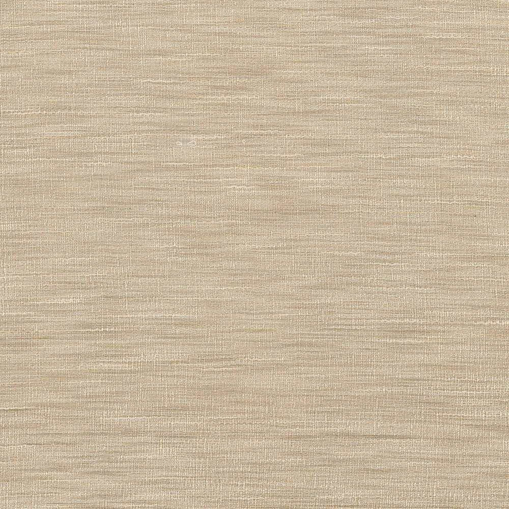 Gainsford Tussah by Kasmir Fabric 5060 75% Polyester 25% Viscose INDIA Not Tested H: N/A, V:N/A 54 - Fabric Carolina - Kasmir