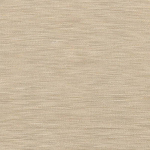 Gainsford Tussah by Kasmir Fabric