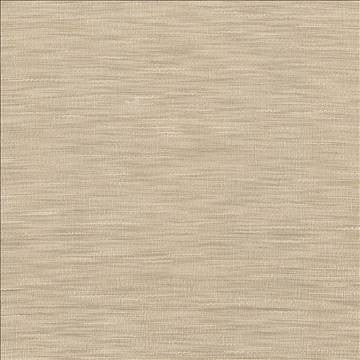 Gainsford Tussah by Kasmir Fabric 5060 75% Polyester 25% Viscose INDIA Not Tested H: N/A, V: N/A 54 - Fabric Carolina - Kasmir