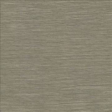 Gainsford Walnut by Kasmir Fabric 5060 75% Polyester 25% Viscose INDIA Not Tested H: N/A, V: N/A 54 - Fabric Carolina - Kasmir