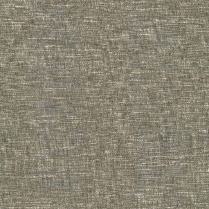 Gainsford Walnut by Kasmir Fabric 5060 75% Polyester 25% Viscose INDIA Not Tested H: N/A, V:N/A 54 - Fabric Carolina - Kasmir