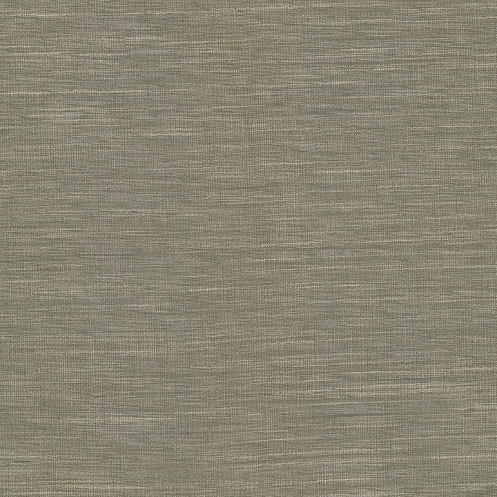 Gainsford Walnut by Kasmir Fabric 5060 75% Polyester
25% Viscose
 INDIA </p><p>Repeat: Horizontal: N/A and Vertical: N/A 54 - Fabric Carolina -
