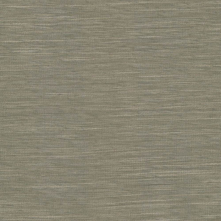 Gainsford Walnut by Kasmir Fabric 5060 75% Polyester
25% Viscose
 INDIA </p><p>Repeat: Horizontal: N/A and Vertical: N/A 54 - Fabric Carolina -