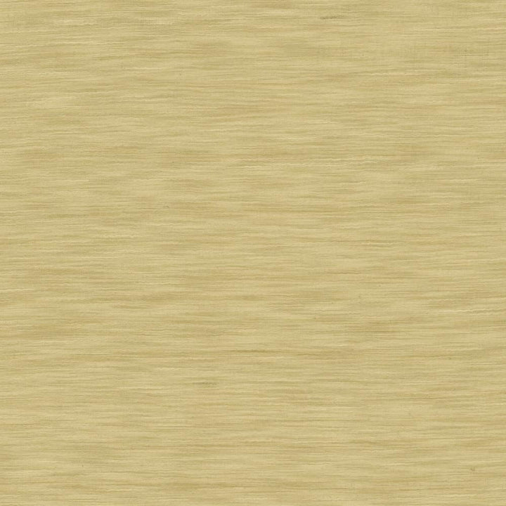Gainsford Wheat by Kasmir Fabric 5140 75% Polyester
25% Viscose
 INDIA </p><p>Repeat: Horizontal: N/A and Vertical: N/A 54 - Fabric Carolina -