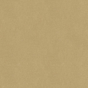 Galveston Praline by Kravet Contract Fabric