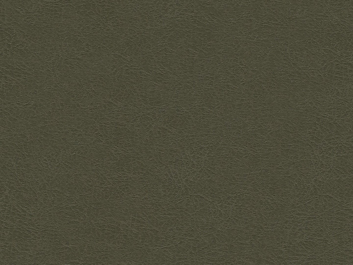 Kravet Design Garoua-21 by Kravet Design Fabric