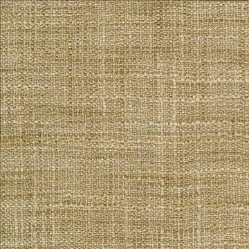 Gatlin Nutmeg by Kasmir Fabric 1313 100% Polyester INDIA Not Tested H: N/A, V: N/A 54 - Fabric Carolina - Kasmir