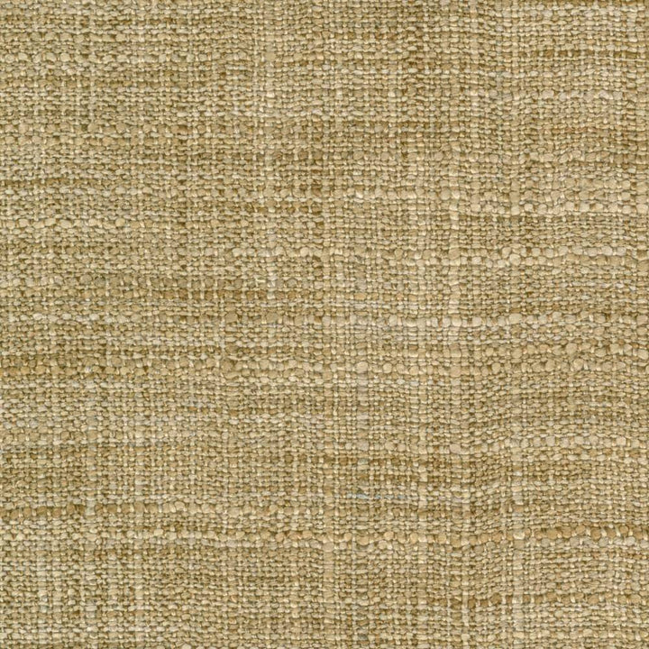 Gatlin Nutmeg by Kasmir Fabric 1313 100% Polyester INDIA Not Tested H: N/A, V:N/A 54 - Fabric Carolina - Kasmir