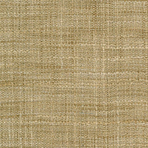 Gatlin Nutmeg by Kasmir Fabric