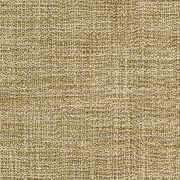 Gatlin Nutmeg by Kasmir Fabric 1313 100% Polyester INDIA Not Tested Horizontal: 0 Inches and Vertical: 0 Inches 54 - Fabric Carolina -