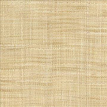 Gatlin Parchment by Kasmir Fabric 1313 100% Polyester INDIA Not Tested H: N/A, V: N/A 54 - Fabric Carolina - Kasmir