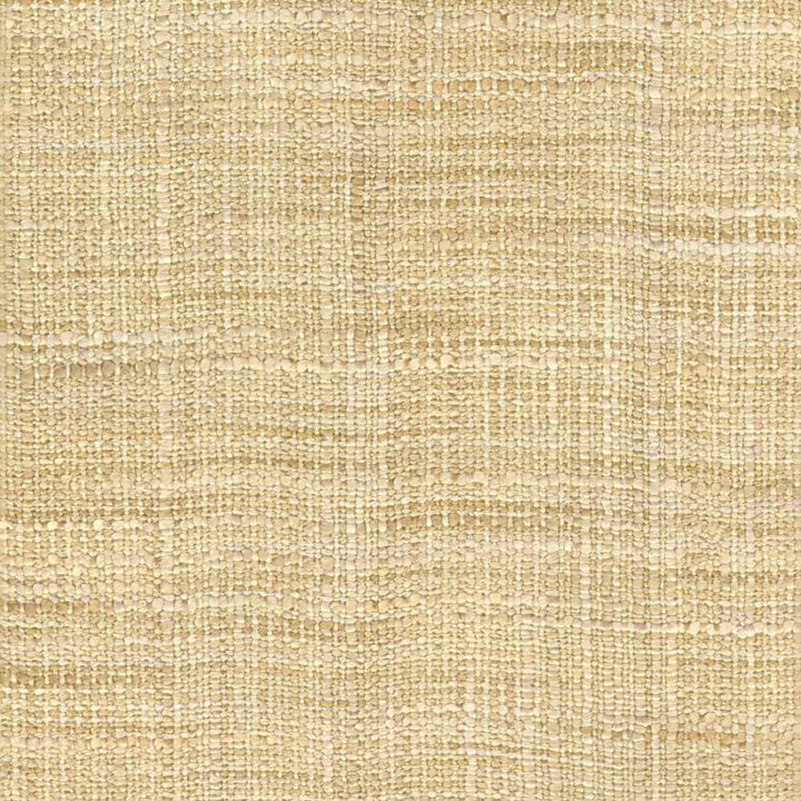 Gatlin Parchment by Kasmir Fabric 1313 100% Polyester INDIA Not Tested H: N/A, V:N/A 54 - Fabric Carolina - Kasmir