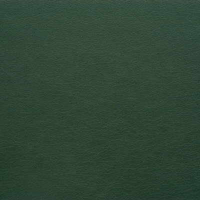 Kravet Design Gato-303 by Kravet Design Fabric