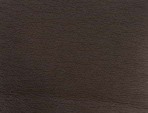 Kravet Design Gato-6666 by Kravet Design Fabric