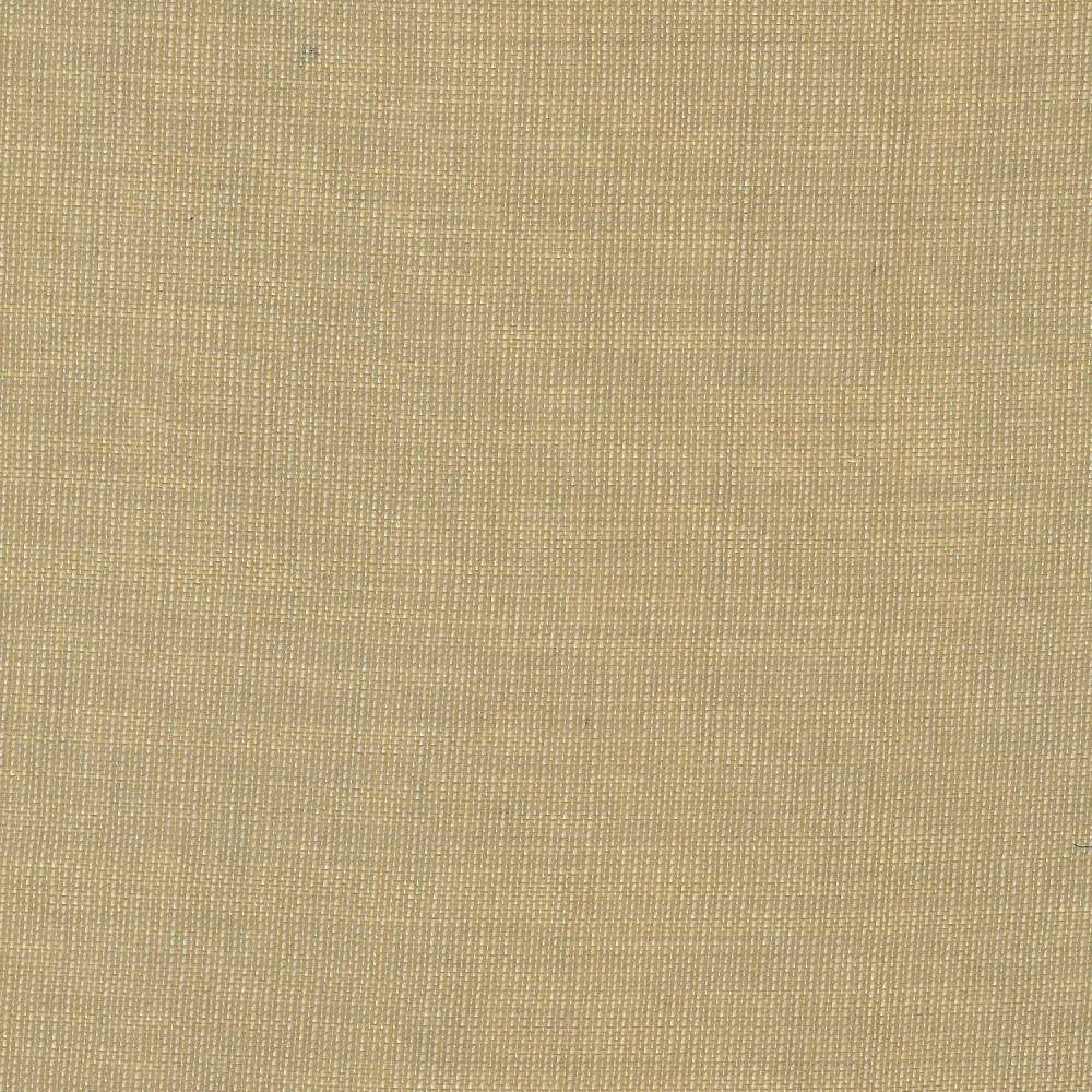 Gauzier Linen by Kasmir Fabric 5076 100% Polyamide TURKEY H: N/A, V:N/A 117 - 118 - Fabric Carolina - Kasmir