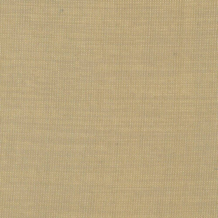 Gauzier Linen by Kasmir Fabric 5076 100% Polyamide TURKEY H: N/A, V:N/A 117 - 118 - Fabric Carolina - Kasmir