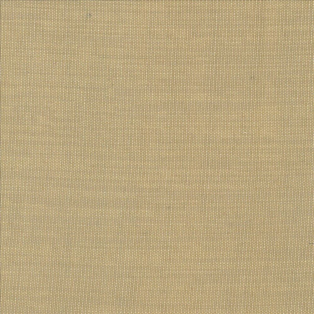 Gauzier Linen by Kasmir Fabric 5076 100% Polyamide TURKEY Horizontal: 0 Inches and Vertical: 0 Inches 117 - 118 - Fabric Carolina -