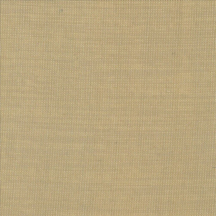Gauzier Linen by Kasmir Fabric 5076 100% Polyamide TURKEY Horizontal: 0 Inches and Vertical: 0 Inches 117 - 118 - Fabric Carolina -