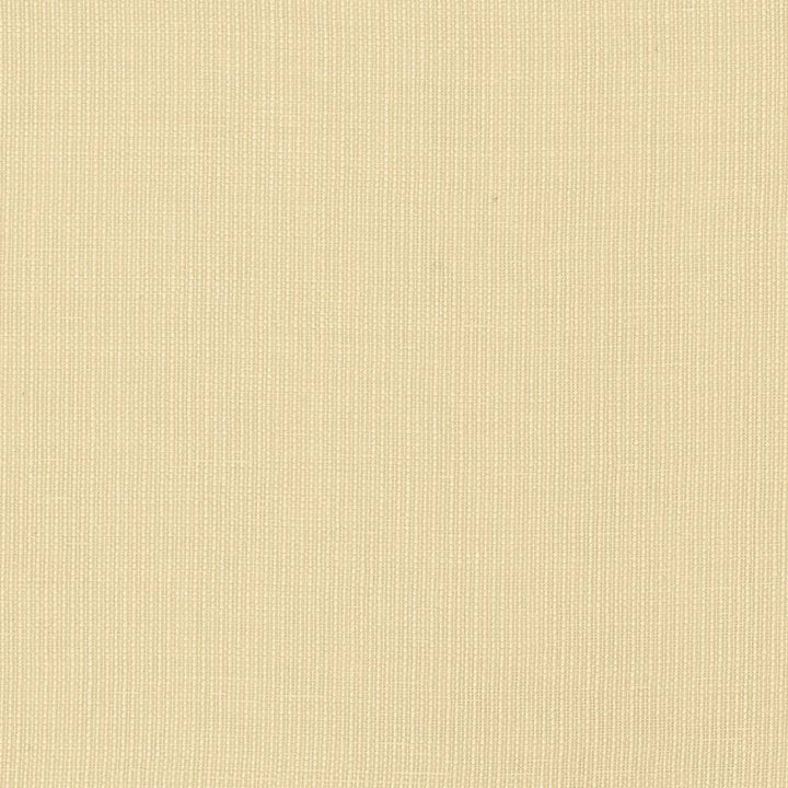 Gauzier Natural by Kasmir Fabric 5076 100% Polyamide TURKEY H: N/A, V:N/A 117 - 118 - Fabric Carolina - Kasmir
