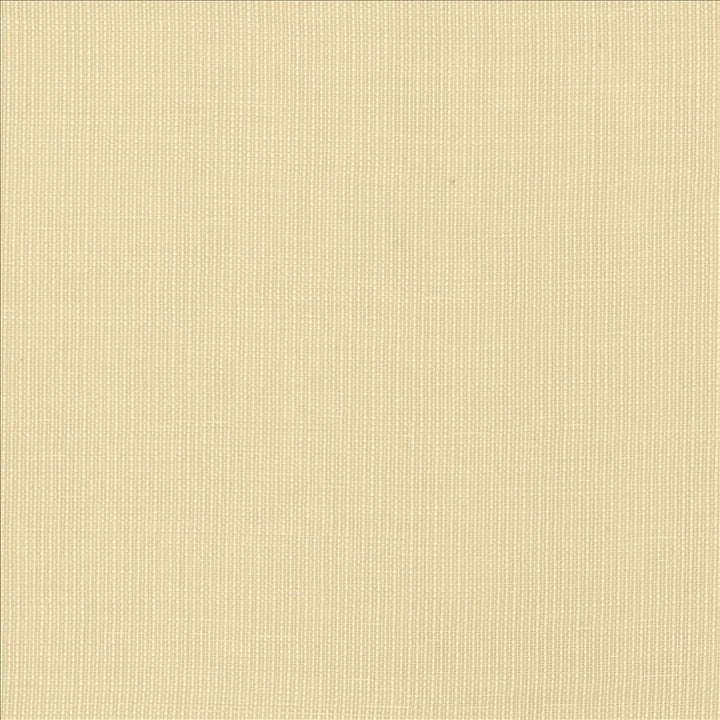 Gauzier Natural by Kasmir Fabric 5076 100% Polyamide TURKEY Horizontal: 0 Inches and Vertical: 0 Inches 117 - 118 - Fabric Carolina -