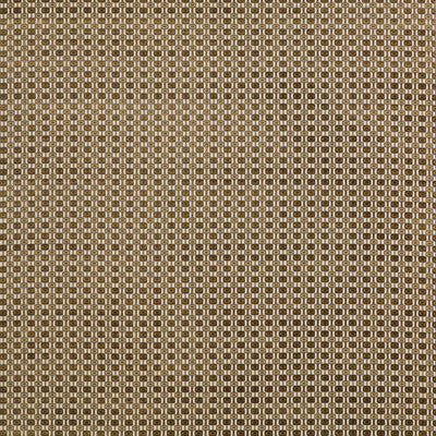 Ines Oro/Marron by Gaston Y Daniela Fabric
