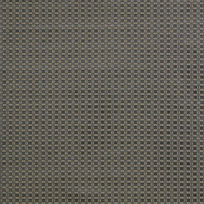 Ines Gris/Onyx by Gaston Y Daniela Fabric