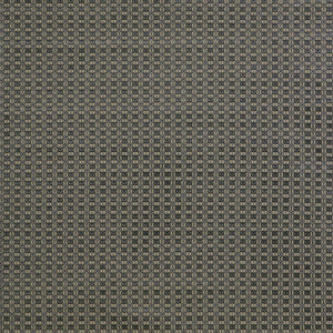Ines Gris/Onyx by Gaston Y Daniela Fabric