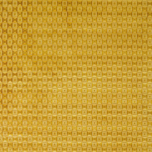 Luisa Oro by Gaston Y Daniela Fabric