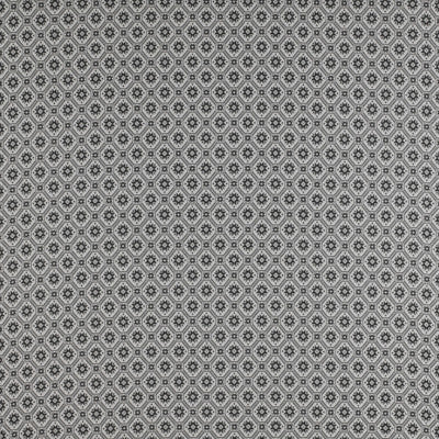 Delicias Onyx by Gaston Y Daniela Fabric