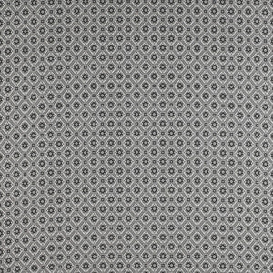 Delicias Onyx by Gaston Y Daniela Fabric