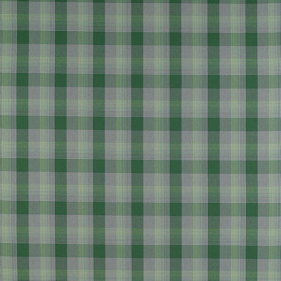 Preciados Verde by Gaston Y Daniela Fabric
