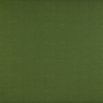 Recoletos Verde by Gaston Y Daniela Fabric