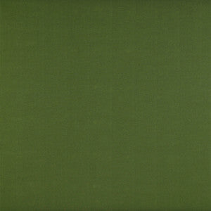 Recoletos Verde by Gaston Y Daniela Fabric