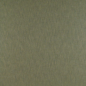 Chamberi Verde by Gaston Y Daniela Fabric