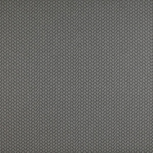 Chueca Onyx by Gaston Y Daniela Fabric