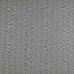 Chueca Gris by Gaston Y Daniela Fabric