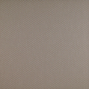 Chueca Beige by Gaston Y Daniela Fabric