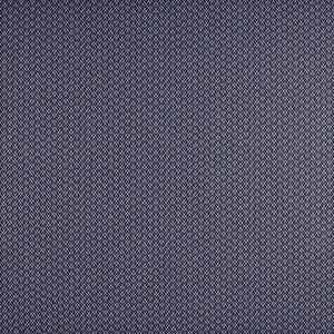 Chueca Azul/Marino by Gaston Y Daniela Fabric