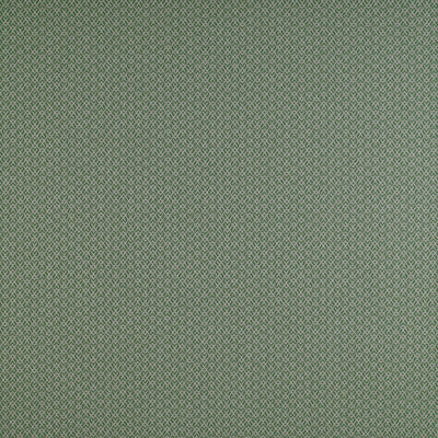 Chueca Verde by Gaston Y Daniela Fabric