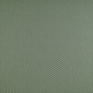 Chueca Verde by Gaston Y Daniela Fabric