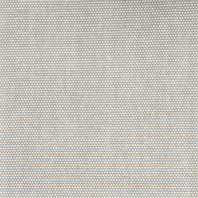Panama Gris by Gaston Y Daniela Fabric